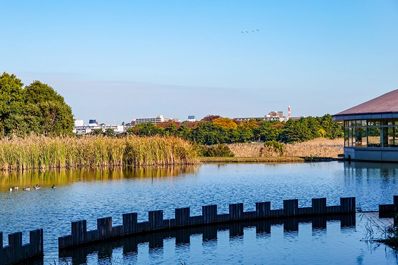 習志野市の気候と環境の風景1