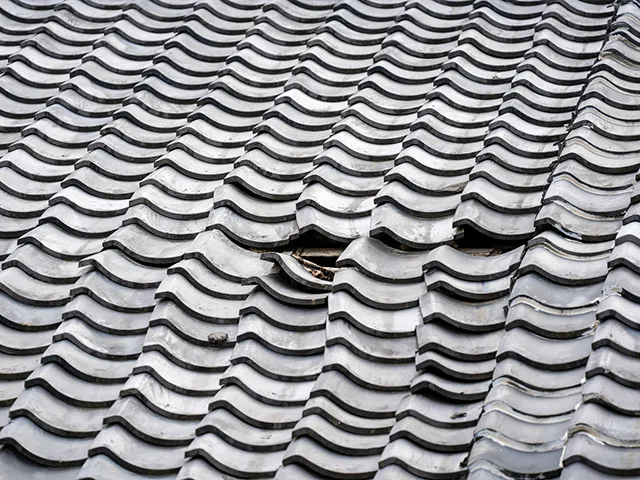 屋根の色あせ・変色の症状