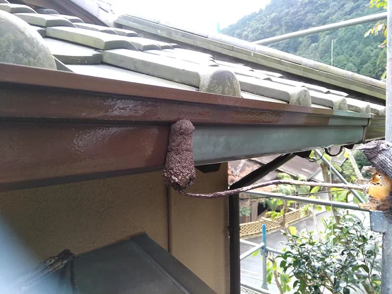 雨樋だけの塗装がしたい