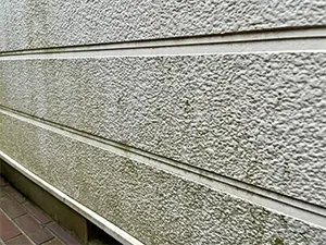 苔、藻の発生