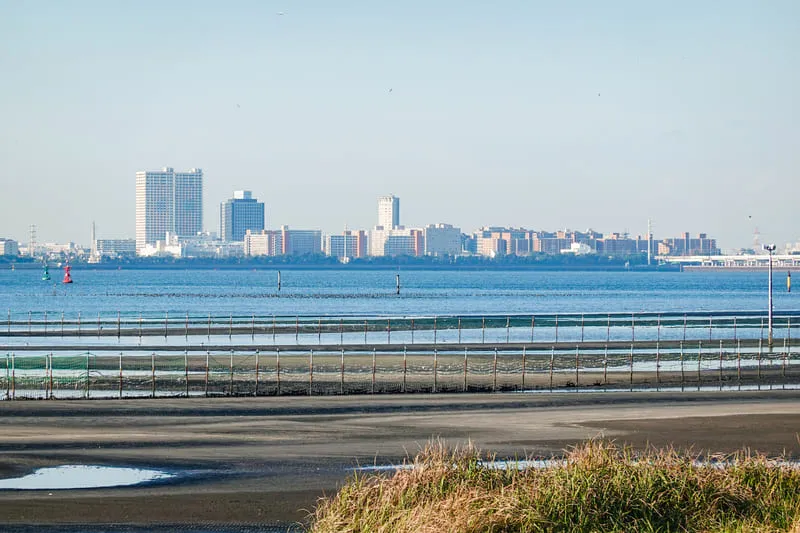 船橋市の気候と環境の風景1